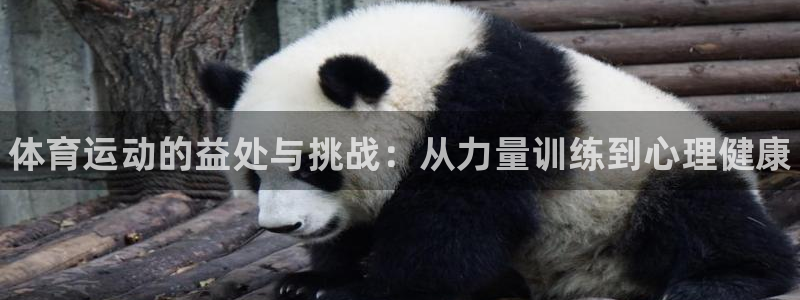 米兰体育官网下载平台注册：体育运动的益处与挑战：从力