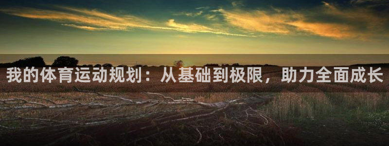 米兰体育官方正版app娱乐下载：我的体育运动规划：从