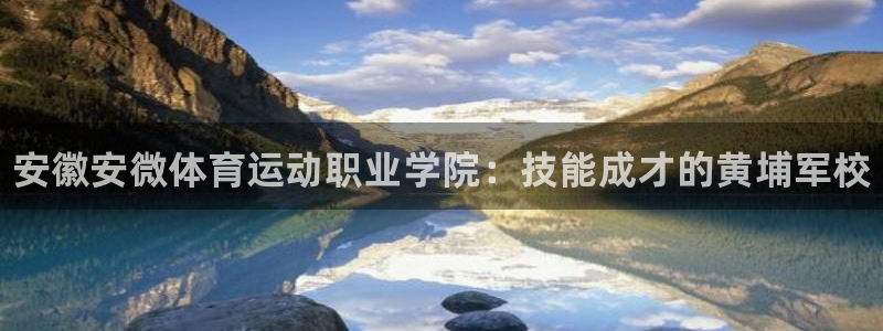 米兰体育官方正版app娱乐平台：安徽安微体育运动职业