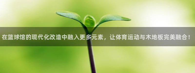 海南米兰体育官网下载发展怎么样：在篮球馆的现代化改造