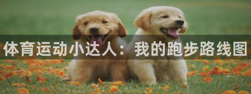 米兰体育官网下载注册：体育运动小达人：我的跑步路线图