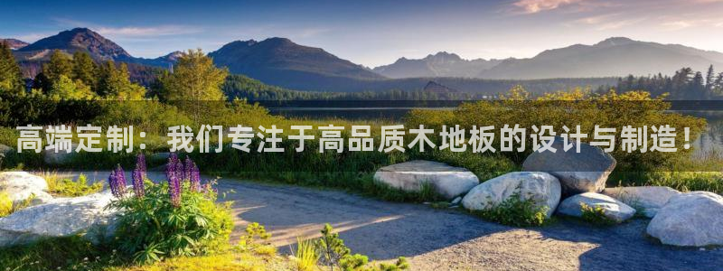 米兰体育官网下载平台注册要钱吗安全吗：高端定制：我们