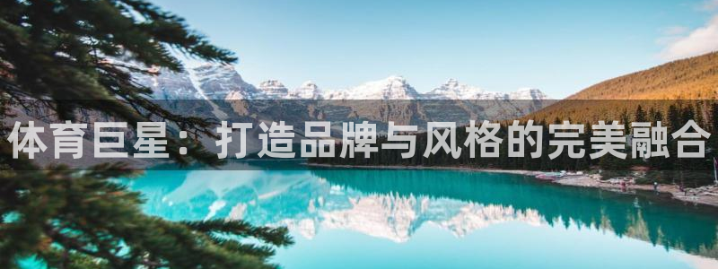 米兰体育官方正版app新能源