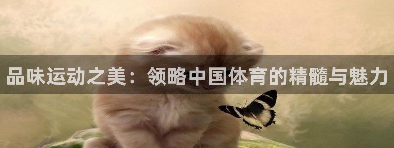 米兰体育官网下载平台APP：品味运动之美：领略中国体育的精髓
