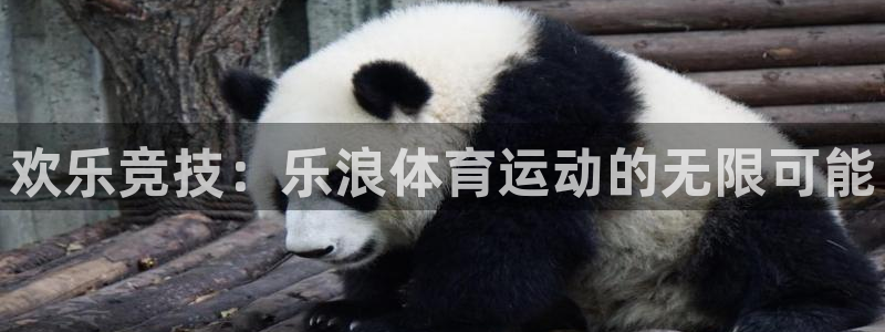 米兰体育官网下载平台APP