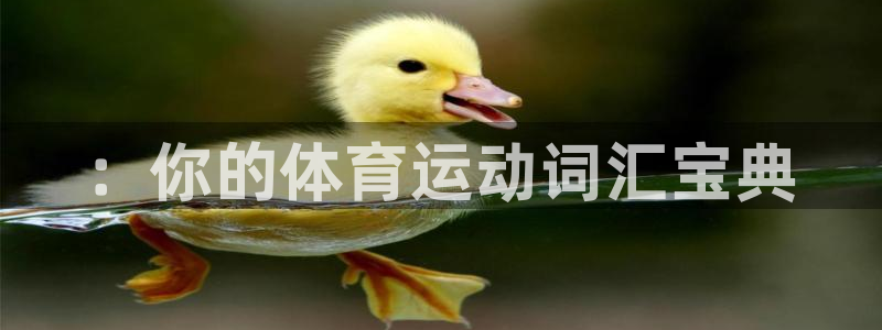 米兰体育官网下载招商：：你的体育运动词汇宝典