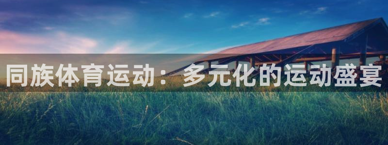 米兰体育官方正版app娱乐是那个系列的台子：同族体育