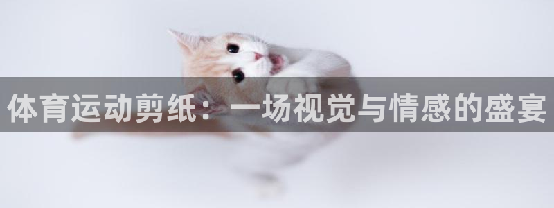 米兰体育官网下载：体育运动剪纸：一场视觉与情感的盛宴